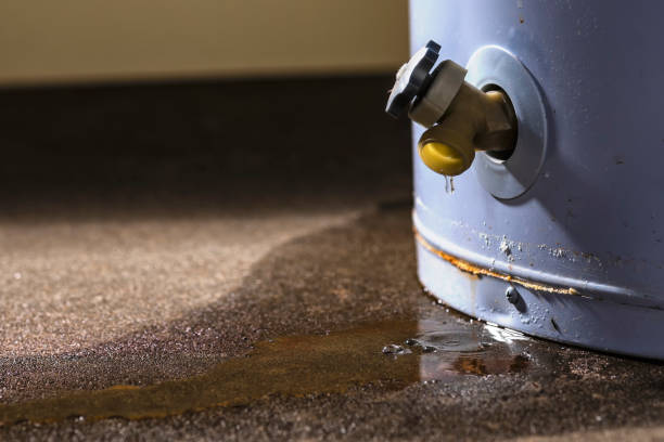 Best Water damage restoration mold remediation  in South Portland, ME