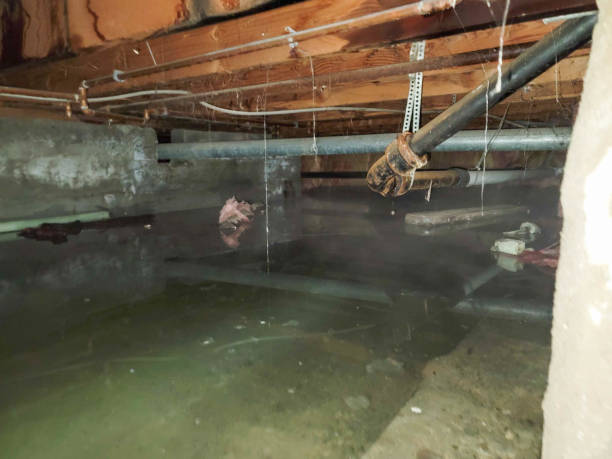 Best Fire Damage Restoration  in South Portland, ME