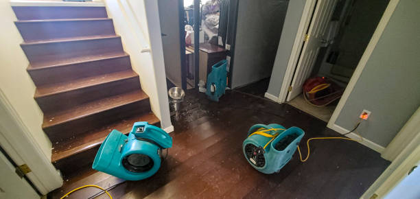 Best Ceiling water damage repair  in South Portland, ME