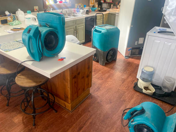 Best Basement water damage restoration  in South Portland, ME