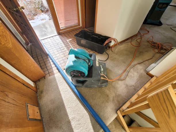 Water damage restoration mold remediation in South Portland, ME