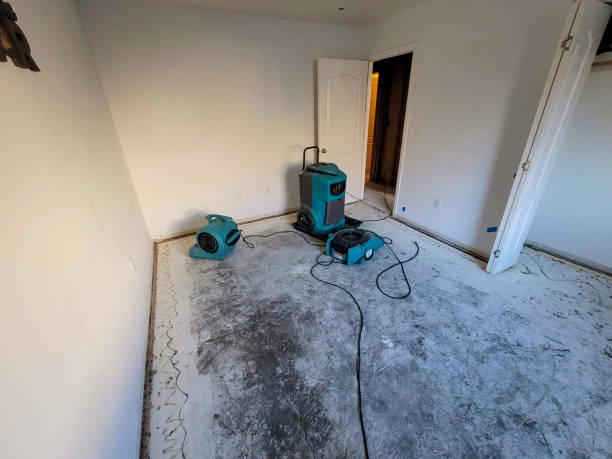 Best Emergency water damage restoration  in South Portland, ME
