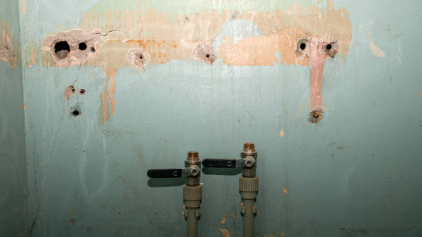 Best Water damage restoration near me  in South Portland, ME