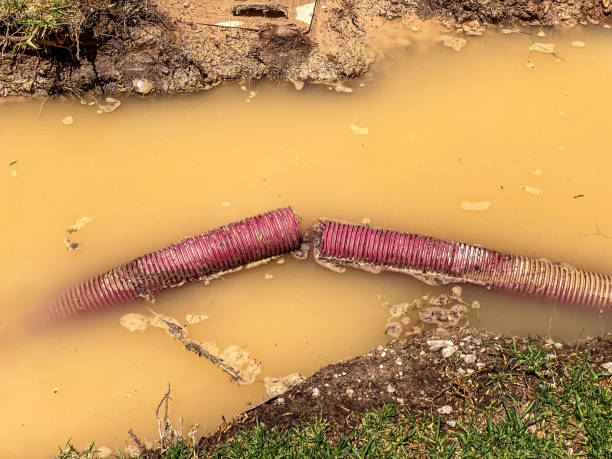 Best Carpet water damage restoration  in South Portland, ME