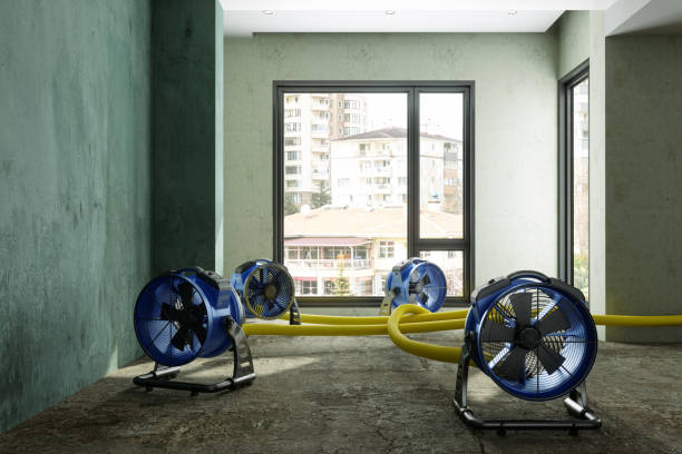 Best Commercial water damage restoration  in South Portland, ME